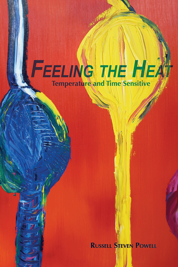 Feeling the Heat cover