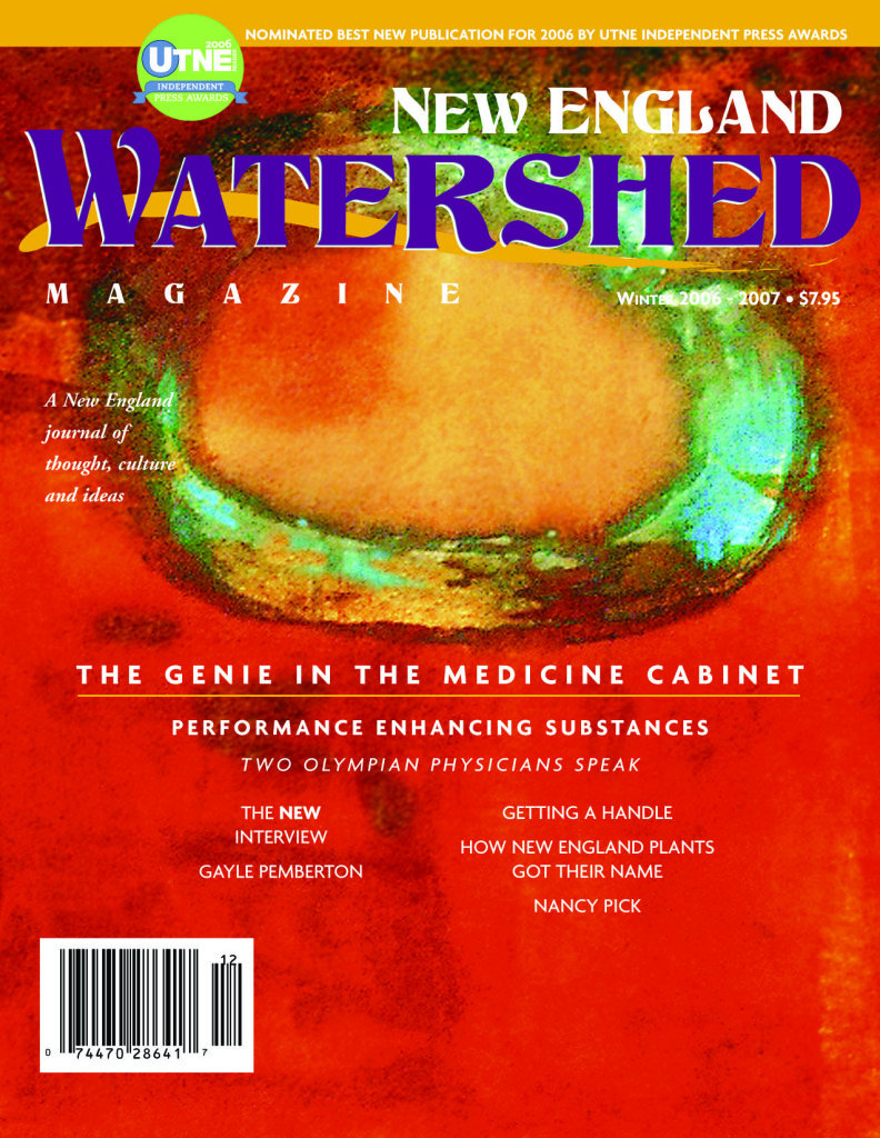 New England Watershed cover